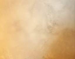 decorative 10540.jpg